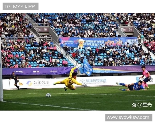 足球的魅力与激情探秘：从赛场到球迷文化的全景解读